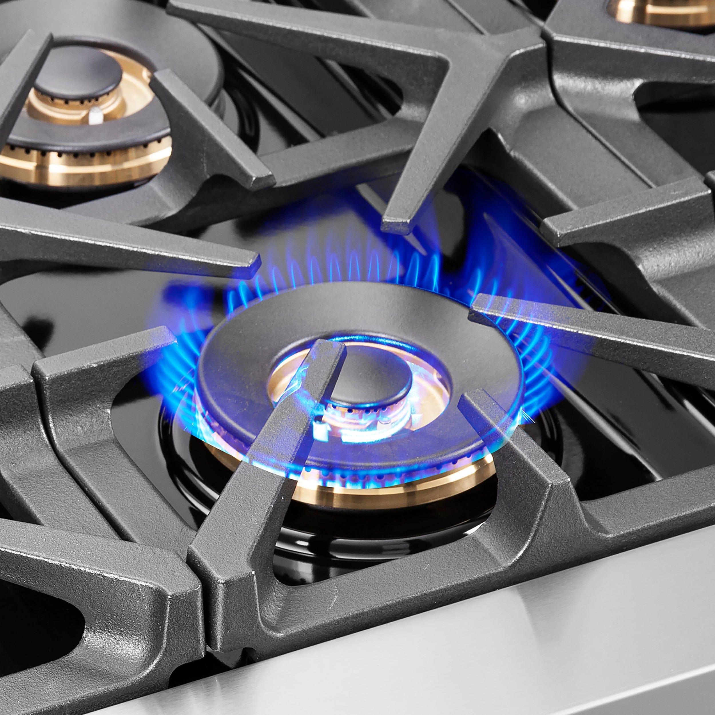 Forno Capriasca 48" Professional Gas Burner, Electric Oven Range With French Door And 8 Sealed Burners, FFSGS6387-48 I Luxury Appliances Direct