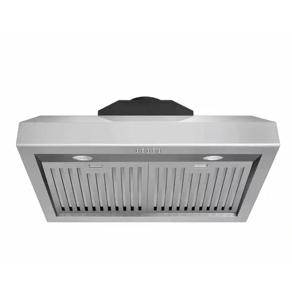 Thor Kitchen 2-Piece Pro Appliance Package - 30" Gas Range & Premium Under Cabinet Hood in Stainless Steel I Luxury Appliances Direct