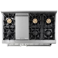 Thor Kitchen Professional 48 in. Propane Gas Range and Range Hood Package I Luxury Appliances Direct