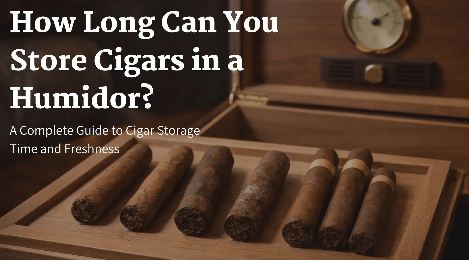 How Long Can You Store Cigars in a Humidor? A Complete Guide to Cigar Storage Time and Freshness | Luxury Appliances Direct