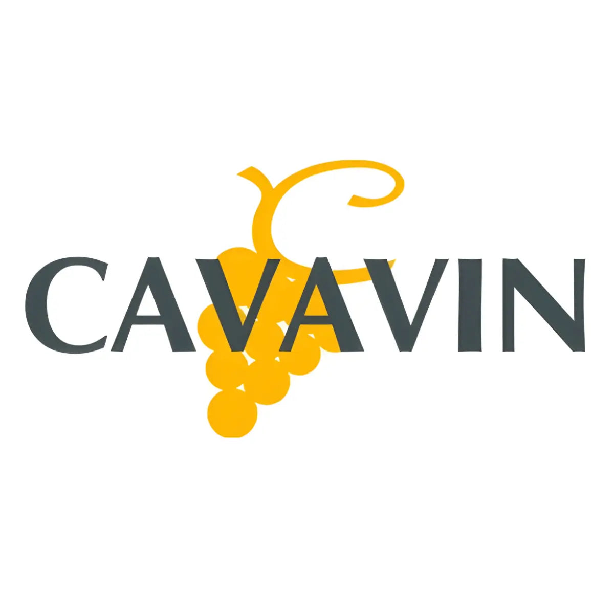 Cavavin logo with dark gray uppercase lettering over a stylized golden grape cluster and vine on a light gray background.
