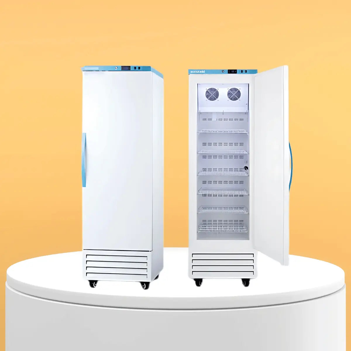 Commercial freezers collection featuring tall upright freezer units with wire shelving, internal fans, digital controls, and heavy-duty design for professional food storage.